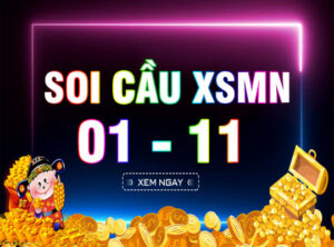 soi-cau-xsmn-01-11